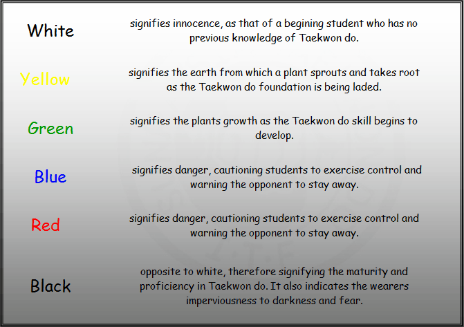 Taekwondo belt ranking outlet system